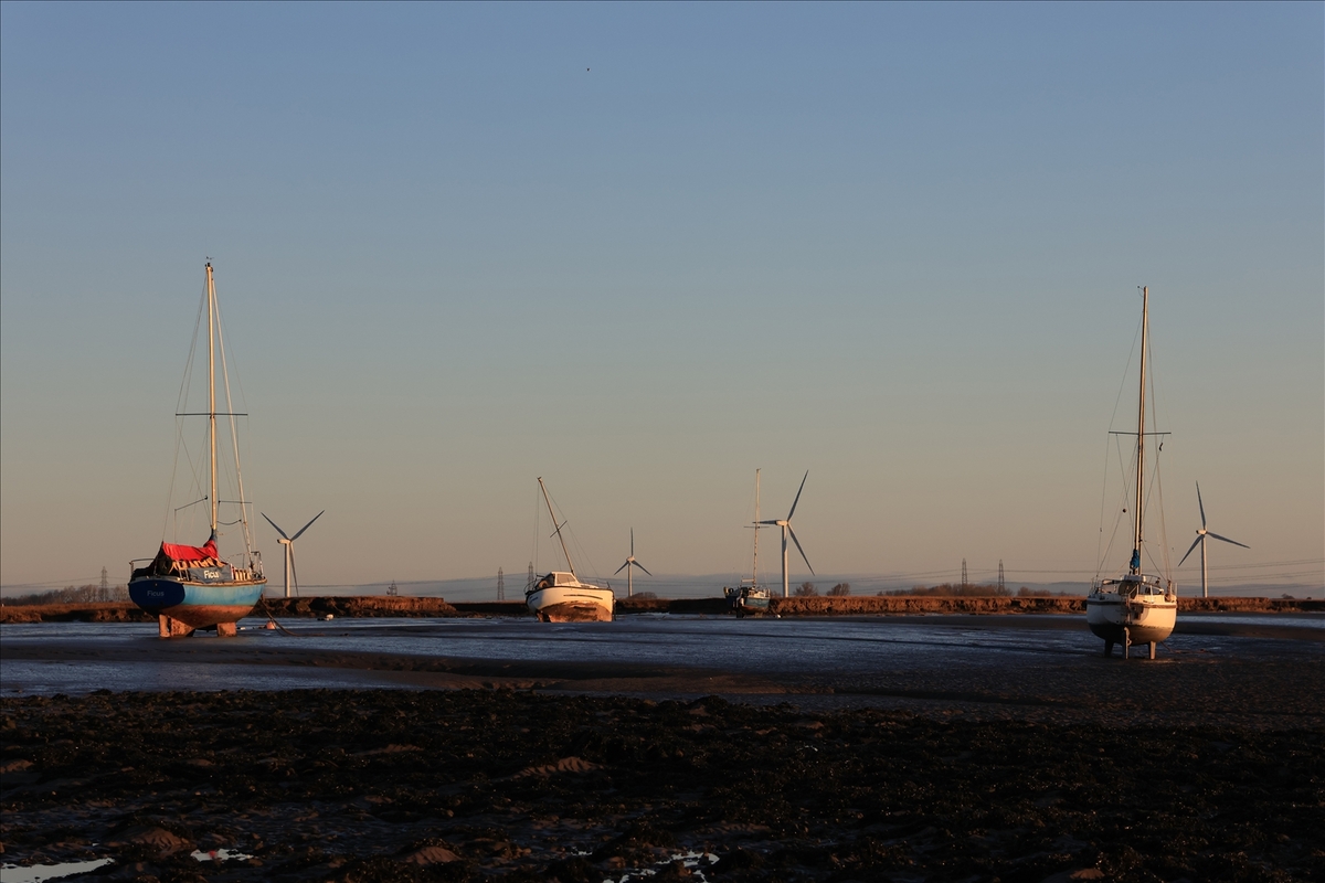 Left High and Dry - Alan Bargh